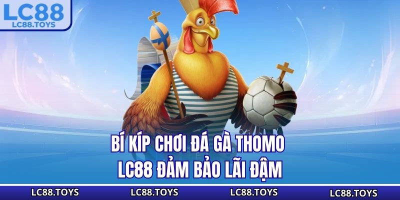 Bí kíp chơi đá gà Thomo LC88 đảm bảo lãi đậm