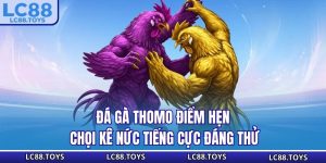 Đá Gà Thomo - Điểm Hẹn Chọi Kê Nức Tiếng Cực Đáng Thử