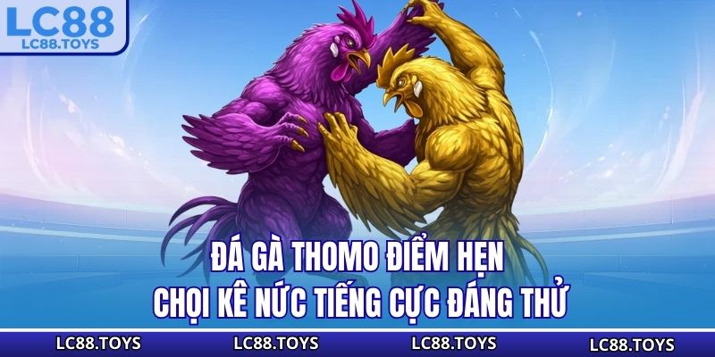 Đá Gà Thomo - Điểm Hẹn Chọi Kê Nức Tiếng Cực Đáng Thử