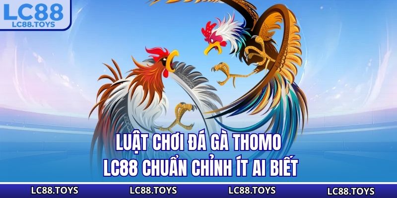 Luật chơi đá gà Thomo LC88 chuẩn chỉnh ít ai biết