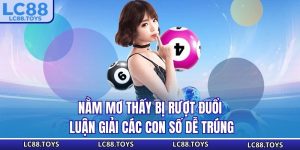 Nằm Mơ Thấy Bị Rượt Đuổi - Luận Giải Các Con Số Dễ Trúng