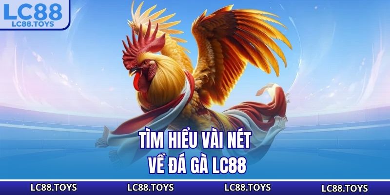 Tìm hiểu vài nét về đá gà LC88