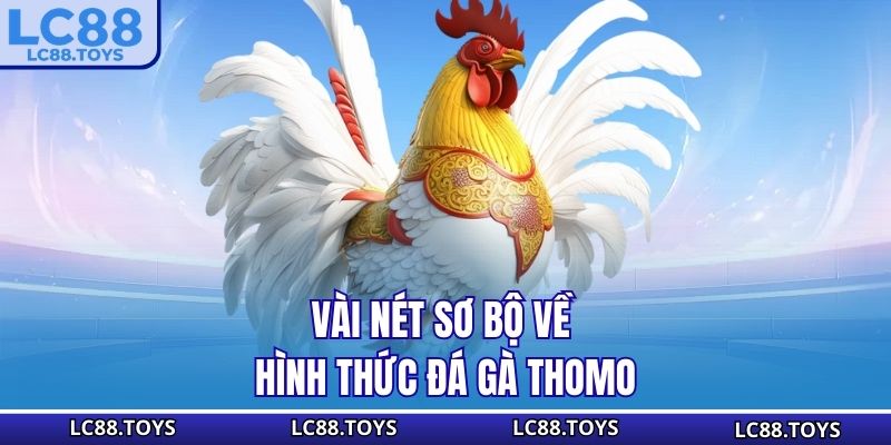 Vài nét sơ bộ về hình thức đá gà Thomo